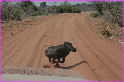 Z'avez raison les filles, j'ai senti la chaleur de son moteur sur mes petites fesses douillettes !