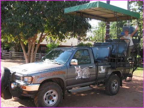 Pr�te pour le Safari ... photos !