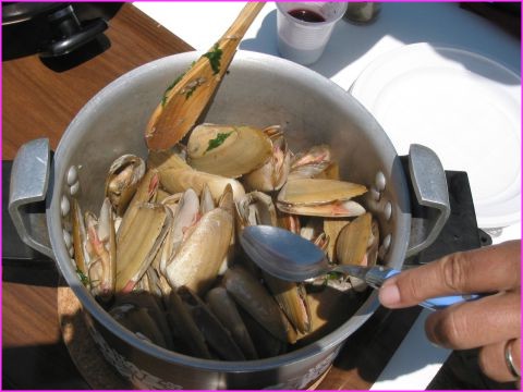 Les machas, de d�licieux coquillages que nous avons d�couverts ici