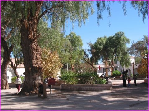 La place joliement arbore de San Pedro de Atacama