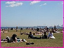 Mais oui, on va bronzer sur les pelouses (et m�me y'en a qui se baignent !) � Copenhague en bord de mer