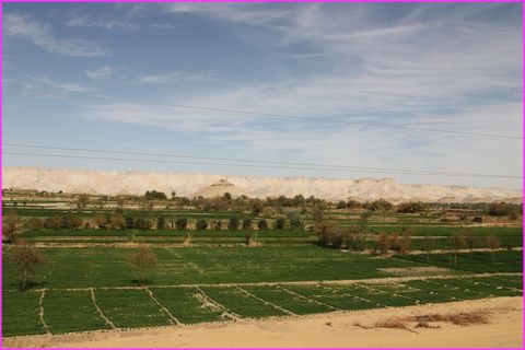 Du vert come cela au milieu du d�sert, on croit � un mirage !