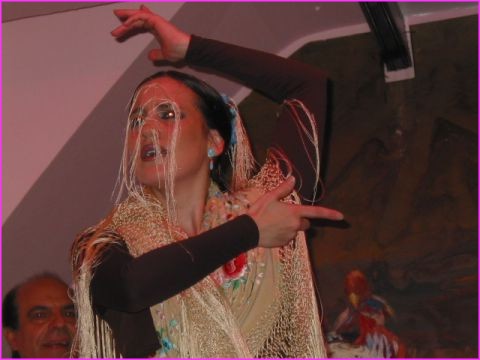 Sville : Flamenco  Los Gallos