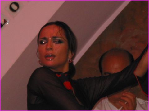 Sville : Flamenco  Los Gallos