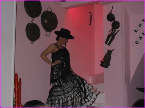 Sville : Flamenco  Los Gallos
