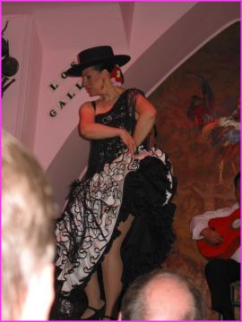 Sville : Flamenco  Los Gallos