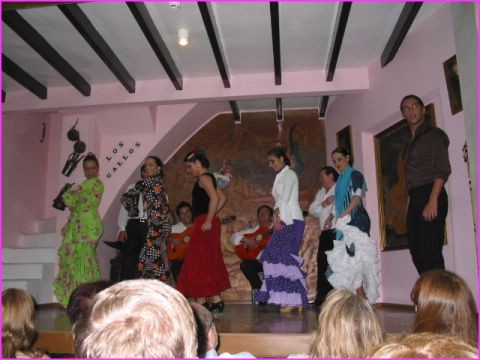 S�ville : Flamenco � Los Gallos