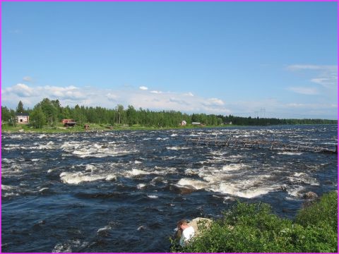 Le plus grand rapide sauvage de Finlande (Kukkolaforsen, vue du ct Sudois)