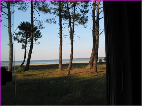 Biscarrosse Lac : vue depuis Prosper au rveil !