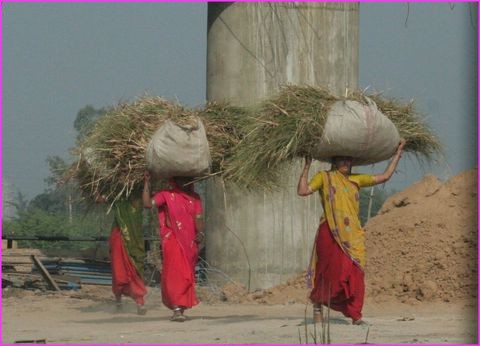 Les femmes sont toujours en train de travailler, porter des charges sur la tte, ...