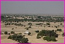 Prosper dans le dsert du Thar prs des dunes de Khuri