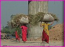 Les femmes sont toujours en train de travailler, porter des charges sur la tte, ...