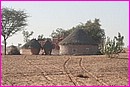 Habitations de campagne dans le dsert du Thar