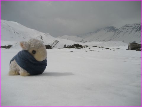 M�me notre mascotte 