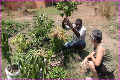 Quand Madame profite des connaissances locales pour son futur potager !