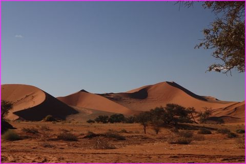 Belles dunes dans les parages