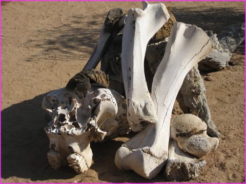 Bon, eux aussi les grands et gros ils finissent comme �a. On la ram�ne moins n'est ce pas ?