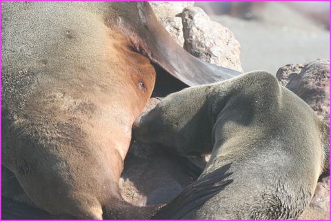 Si on me demande, je suis au bistro !