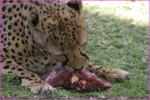 Et Maman a un plus grand estomac que moi !