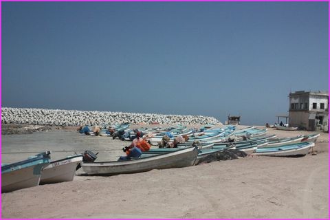 La cte d'Oman abrite de beaux villages de pcheurs