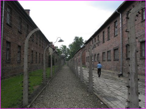 Intrieur du camp d'Auschwitz