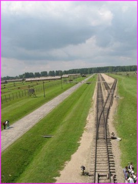 La tristement clbre ligne de chemin de fer qui arrive au milieu du camp de Birkenau