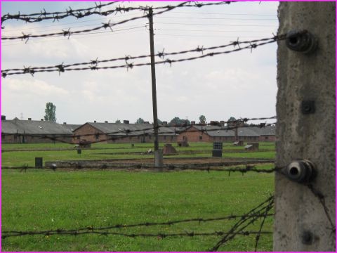 Le camp de Birkenau