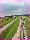 La tristement clbre ligne de chemin de fer qui arrive au milieu du camp de Birkenau