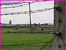 Le camp de Birkenau