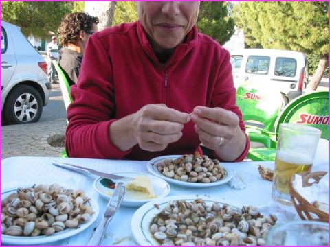 Dgustation d'Escargots (mais oui Messieurs les Anglais)  Serpa