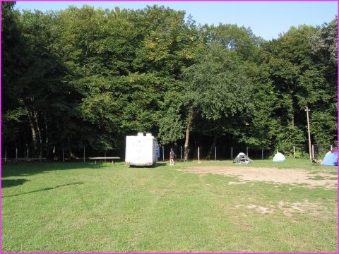 Prosper dans un pr� assez calme et avec assez d'espace pour camper au restaurant Vila Franka de Sighisoara