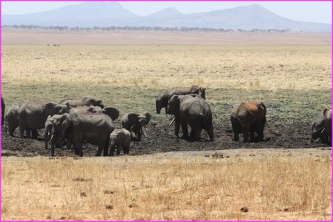 ... et plus tard (ou plus t�t, on ne sait pas), dans la boue