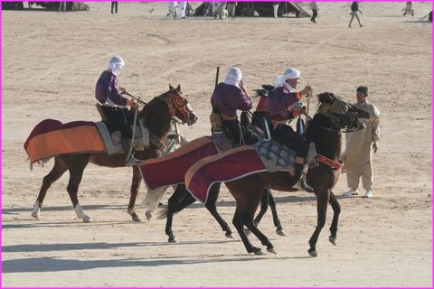 Courses de chevaux au Festival du Sahara de Douz