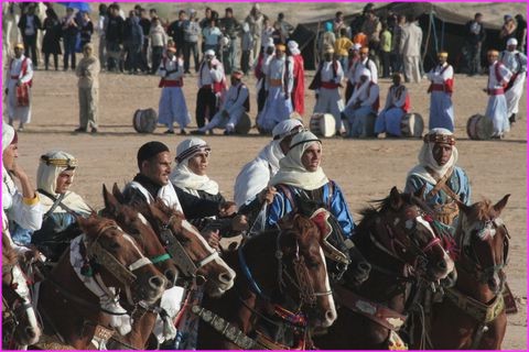 Belle troupe de chevaux au Festival du Sahara de Douz