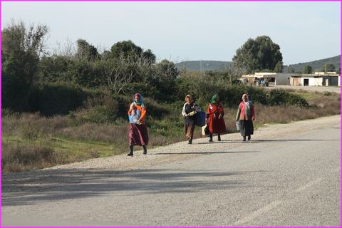 Femmes berbres dans le Nord de la Tunisie. O sont les hommes ? Au caf o ils sirotent leur caf au lait.