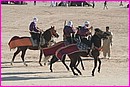 Courses de chevaux au Festival du Sahara de Douz