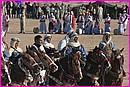 Belle troupe de chevaux au Festival du Sahara de Douz