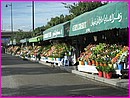 Beaux tals de fleurs  Tunis