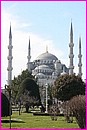 La superbe et in�gal�e Mosqu�e bleue