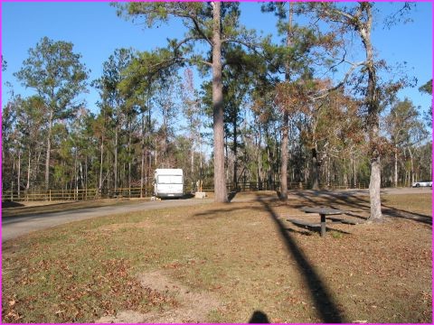 Un bivouac typique dans le campground d'un National Park ou State Park : on aime