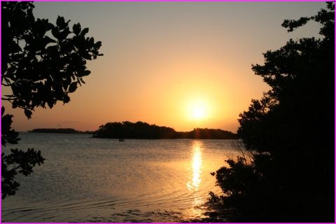 Y'avait longtemps qu'on en avait pas mis un de nos beaux coucher de soleil ! Ici au bout des Everglades, au Flamingo Park